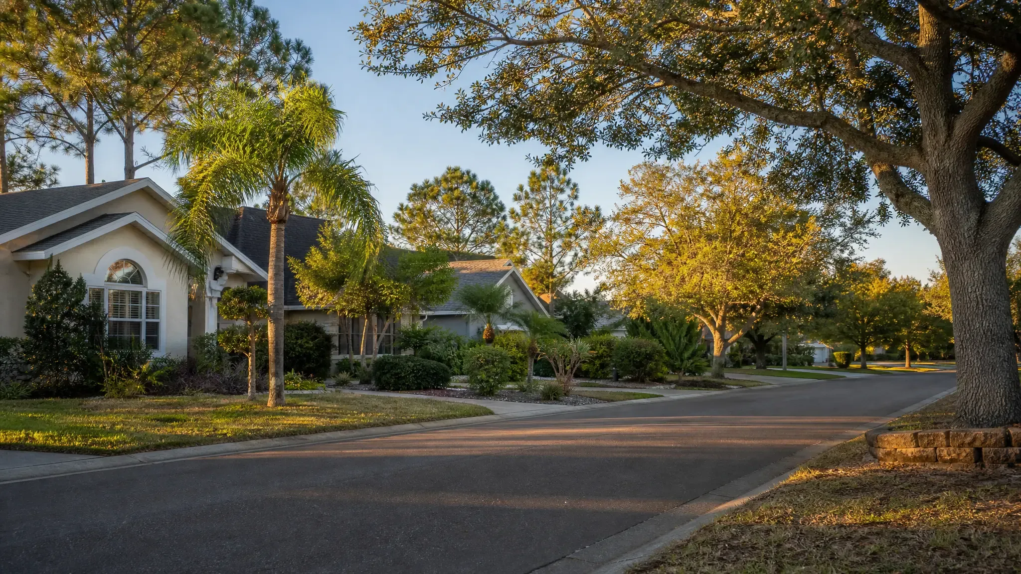 Lutz, Florida. Tampa Metro residential neighborhood