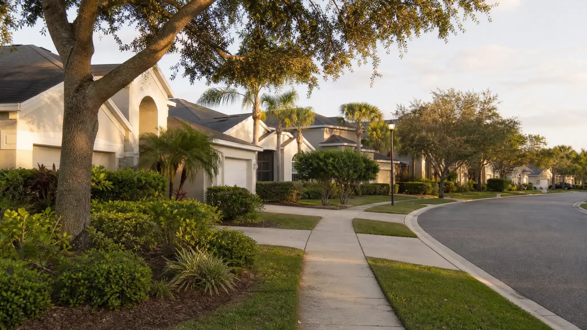 New Tampa, Florida. Tampa Metro residential neighborhood